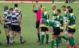 Rugby Referee