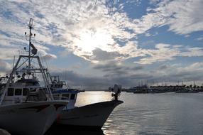 Port Fishing