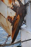 Port Fishing
