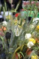 Flowers and spikes, bouquets