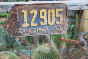 License Plate Cactus Rustic sign