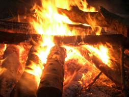 burning wood, campfire at night