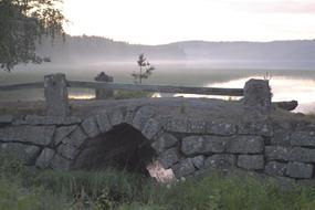 Fog Evening Bridge