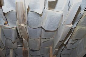 Books on Ceiling of Room