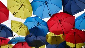 Umbrella decorations Rainy Weather