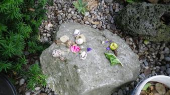 Shell Stones