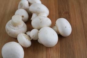 bunch of White Mushrooms