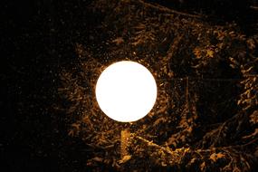 Lamp Night Snow
