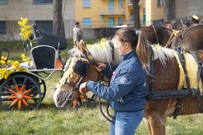 Horse Amazon Blinders