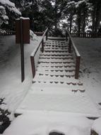 Stairs Snow