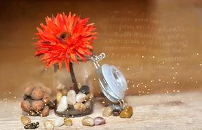 Flower Plastic Fabric decoration