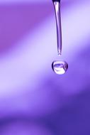 purple Drip Drop Of Water
