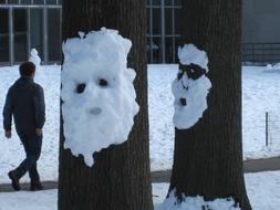 Snow Face Winter