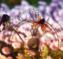 The Flower Time Vanishing