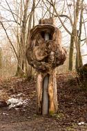 Log Hollow Tree