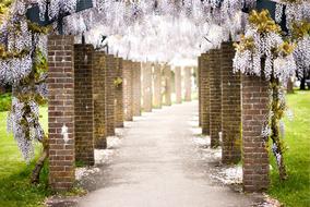 Bricks Pillars Flowers