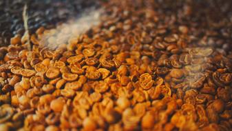 Coffee Beans Roasted