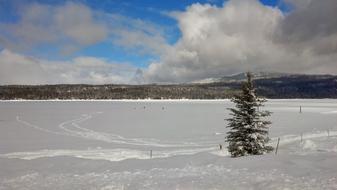 Winter Frozen Lake