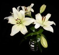 Lilies Flowers Bouquet