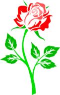 Beautiful drawing of the red and green rose, on the green stem, with the green leaves, clipart