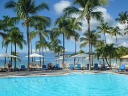 Palms by the Sea and Swimming Pool