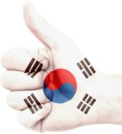 hand south korea flag national