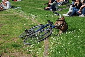 Bicycle Park