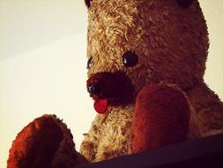 Teddy Bear Toy