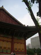 Wood Hanok Beauty