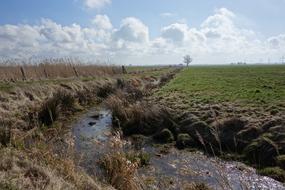 Dig Water Pasture