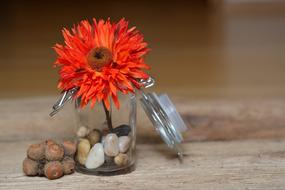 red Flower Blossom Bloom Art