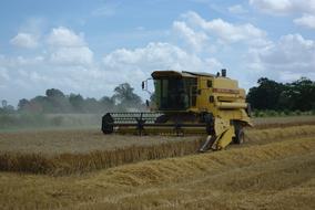 Harvesting Agriculture Combine