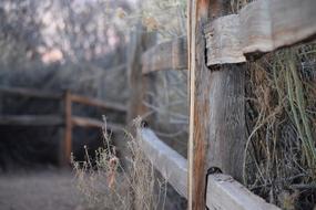 Fence Path