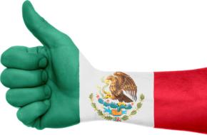 mexico flag hand national pride