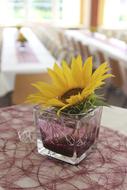 Beautiful, yellow flower in the glass with water, near the tables