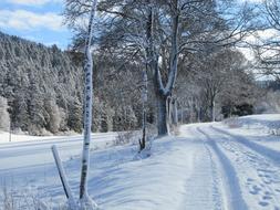 Winter Snow