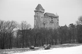 Burg Lichtenstein Castle