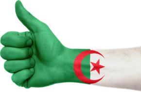 algeria hand flag patriotic