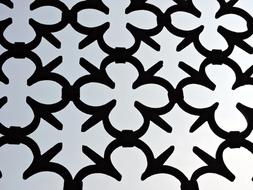 Wrought Iron Particular Fence