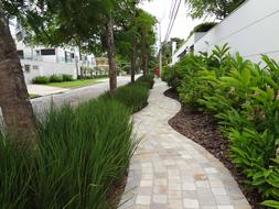 Sidewalk Path