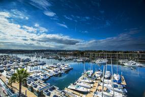 Marina Del Rey Boats