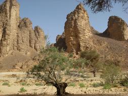 Algeria Guelta Of Essendilene