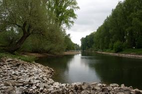 Mannheim Rhine Aue