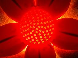 Lamp Nightlight red Flower