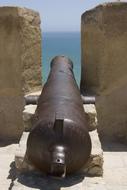 Cannon Alicante Castle