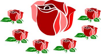 rose flowers romantic drawing