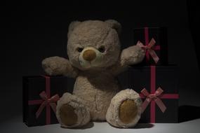 Children Teddy Bear Plush