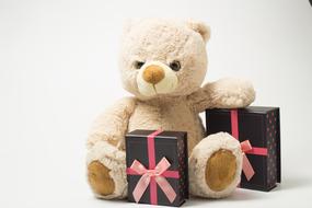Children Teddy Bear Plush