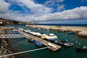 Madeira Santa Cruz