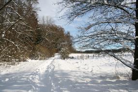 Starnberg Winter Wintry